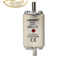 ฟิวส์ใบมีด NH00 125A 500V gG-gL LINDNER